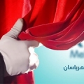 رونمایی از وب سایت جدید شرکت مهریاسان