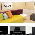 طراحی سایت شرکت لیو